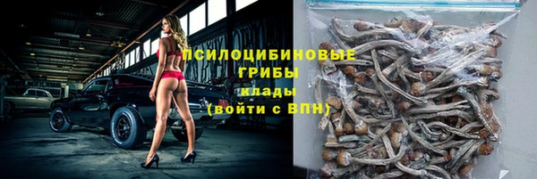 ПСИЛОЦИБИНОВЫЕ ГРИБЫ Алексеевка
