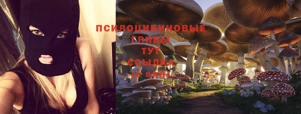 ПСИЛОЦИБИНОВЫЕ ГРИБЫ Алексеевка