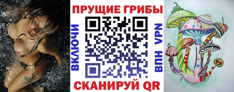 даркнет сайт  Лукоянов  Псилоцибиновые грибы Psilocybe 